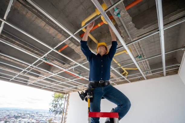 Best Leak Detection Services  in Burt, MI